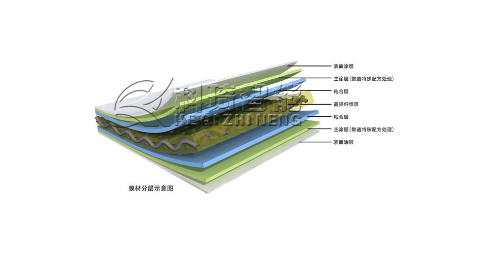 qimoimg1 水印.jpg